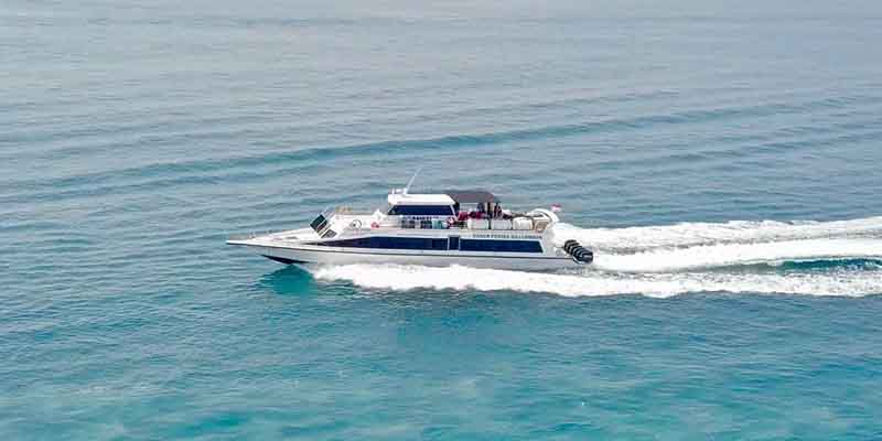 Starfish Fast Cruise