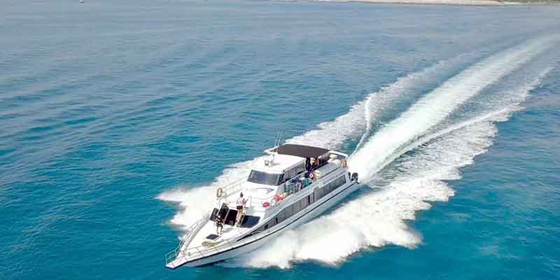 Starfish Fast Cruise