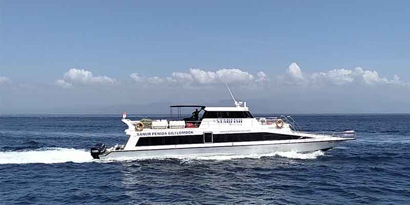Starfish Fast Cruise