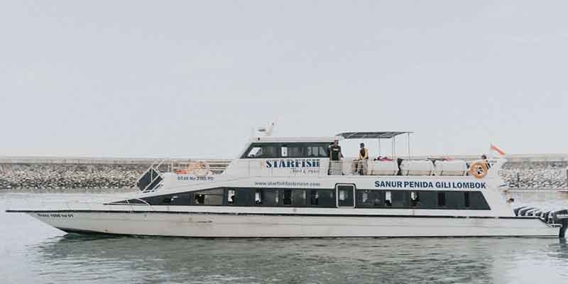 Starfish Fast Cruise